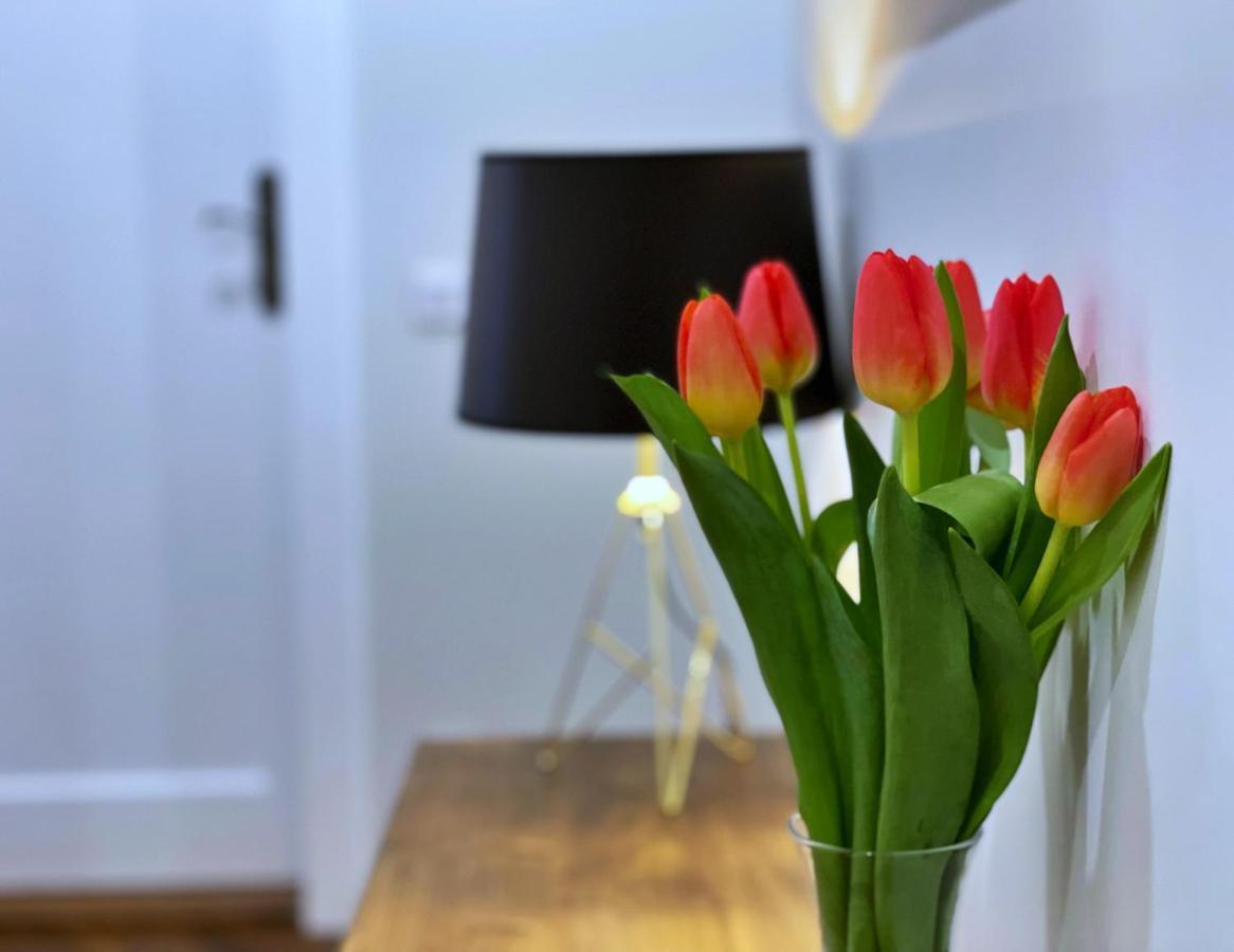 Rzeszowska 5 Apt. 3 Апартаменти
